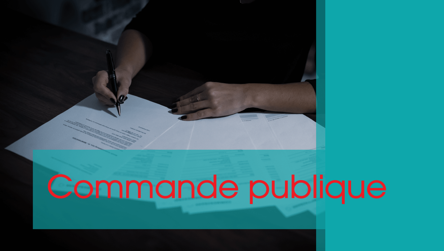 Commande publique : Chronique de jurisprudence